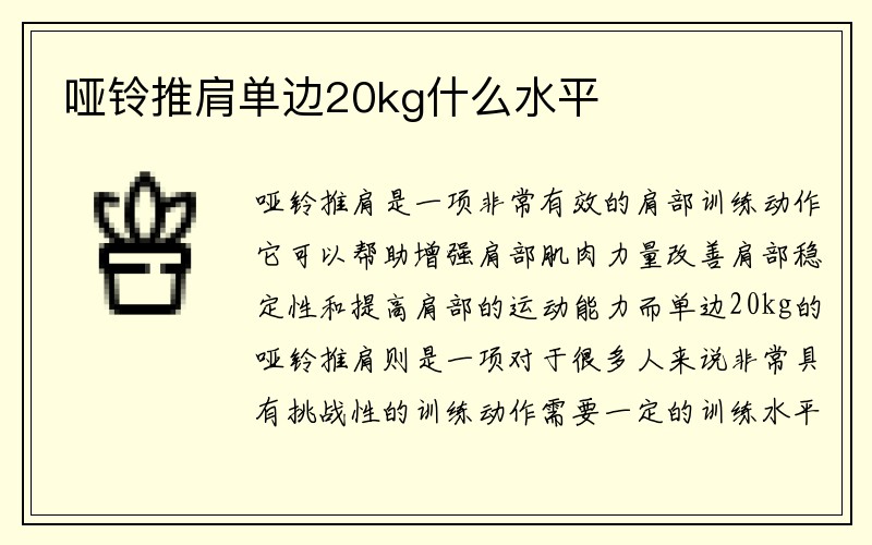 哑铃推肩单边20kg什么水平