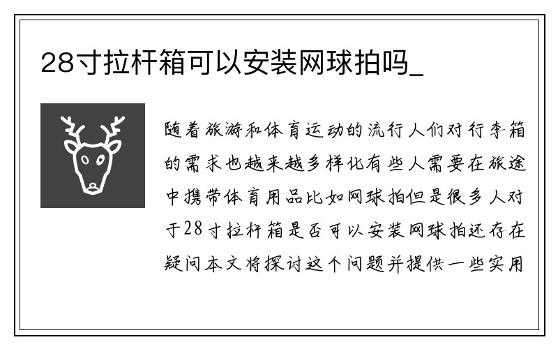 28寸拉杆箱可以安装网球拍吗_