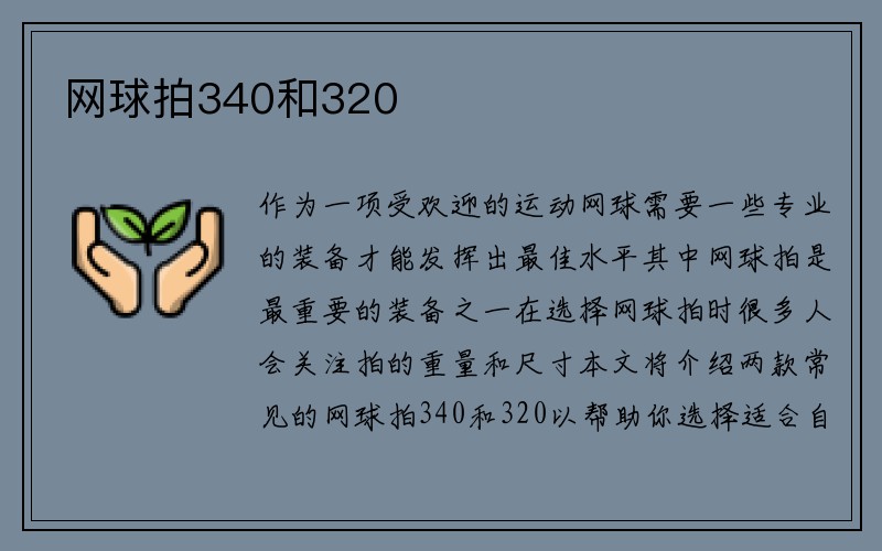 网球拍340和320