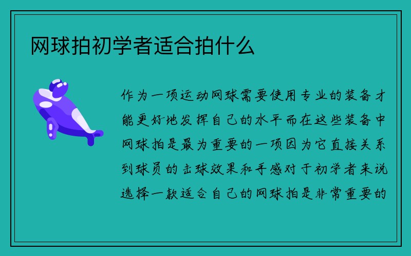 网球拍初学者适合拍什么