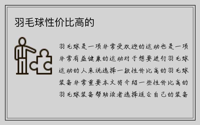 羽毛球性价比高的