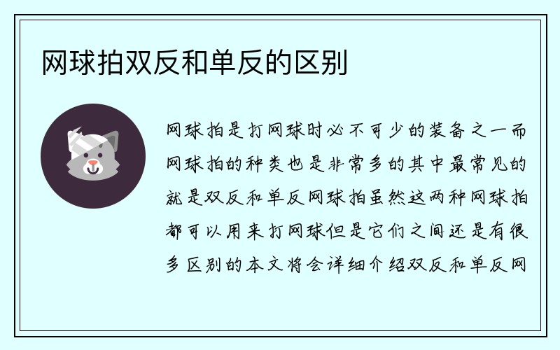 网球拍双反和单反的区别