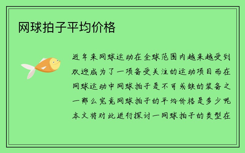 网球拍子平均价格