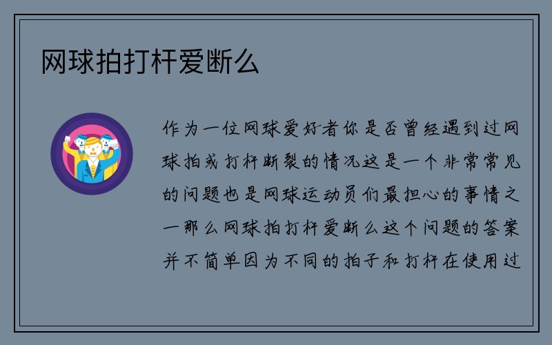 网球拍打杆爱断么